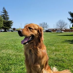 Meet your Posher, Sanjoli